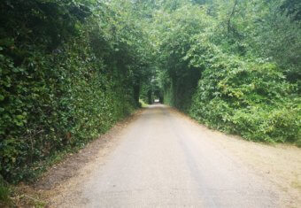 Micklefield Hall film location - driveway