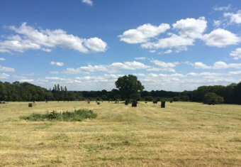 Micklefield Hall farm estate, collecting the hay on a hot summers day