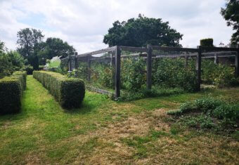 Micklefield Hall film location - orchard