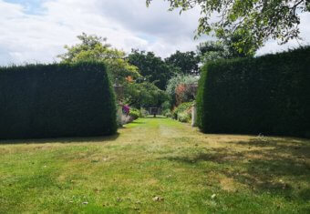 Micklefield Hall film location - herbaceous borders
